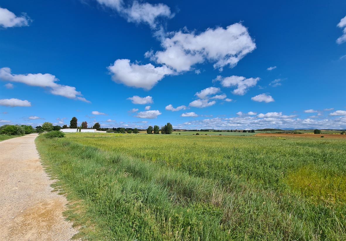 Grüne Idyllen