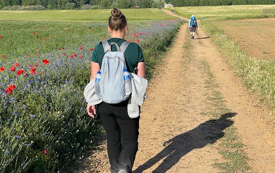 Pilger auf dem Jakobsweg