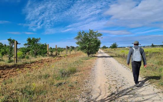 Pilger auf dem Camino