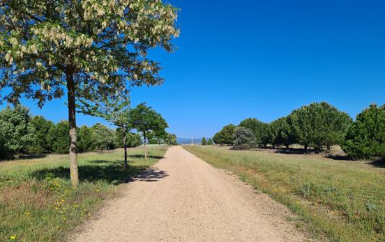 Man kann die Ruhe genießen und entschleunigen.