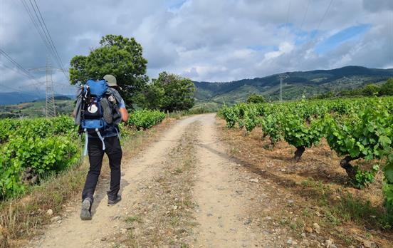 Wege durch fruchtbare Landschaften