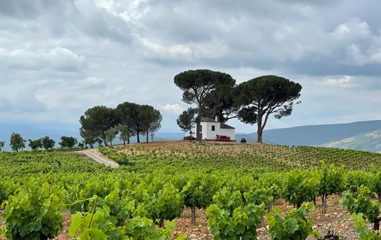 Wein- und Hügelland