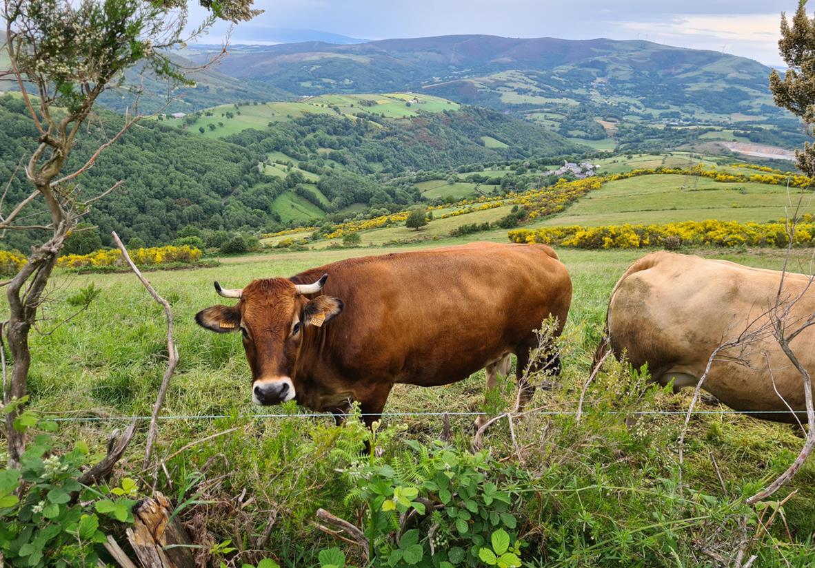 Landschaftliche Vielfalt