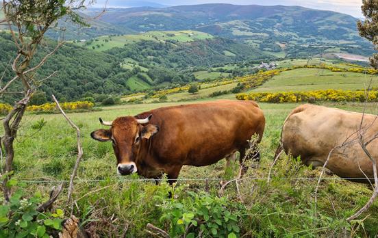 Landschaftliche Vielfalt