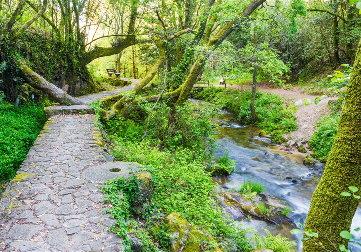 Stein- und Wasserroute