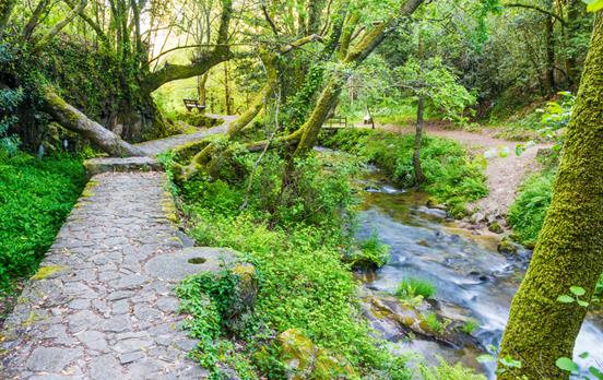 Stein- und Wasserroute