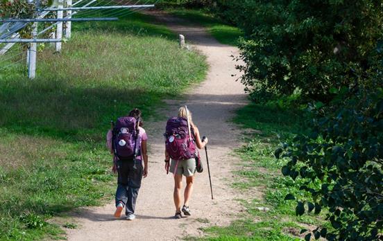 Wenn aus Fremden Freunde werden