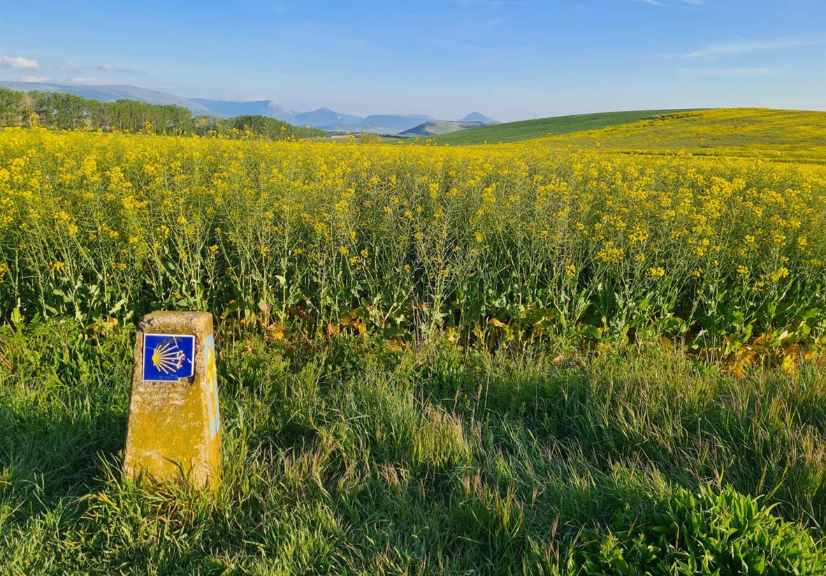Wegweiser auf dem Camino.