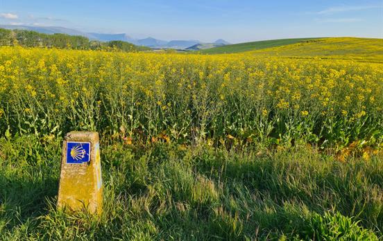 Wegweiser auf dem Camino.