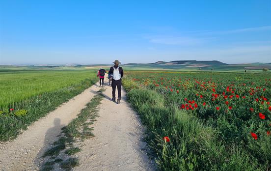 Unendliche Weiten genießen.