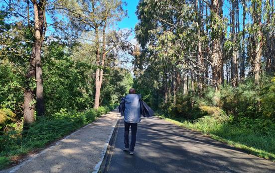 Durch die Eukalyptuswälder