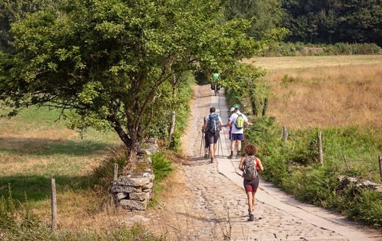 Durch die Landschaft von Galicien ab Sarria