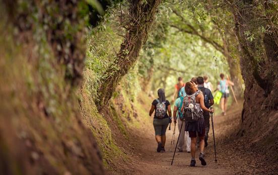 Pilger auf den letzten Kilometern.