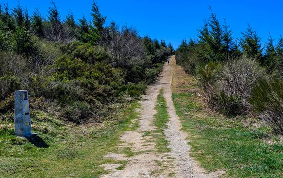 Walk Stage 4 of the Camino Frances