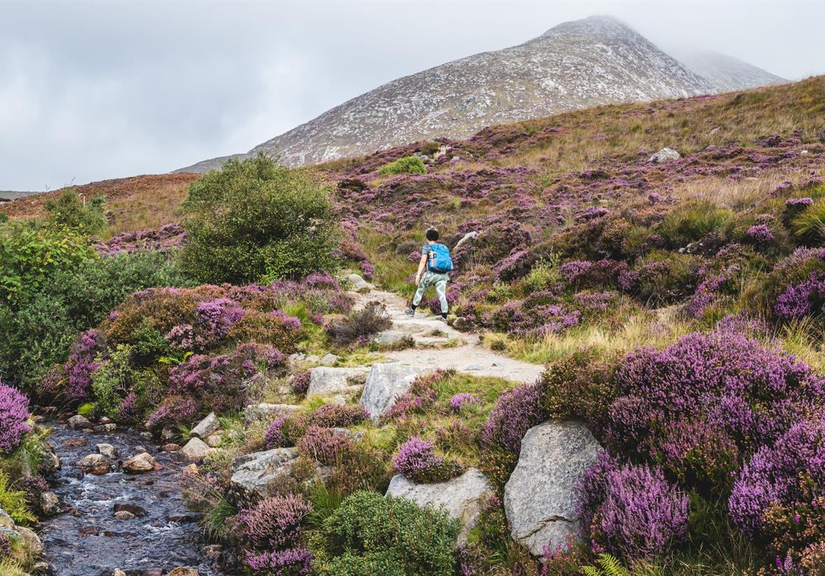 Goat Fell Ascent