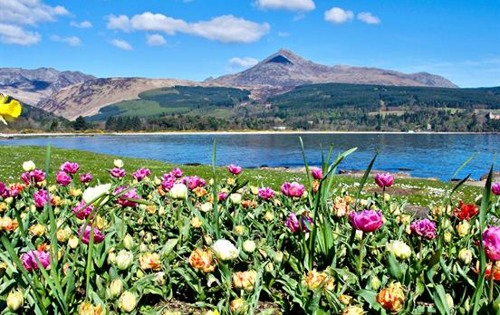 Brodick with Goat Fell in the distance