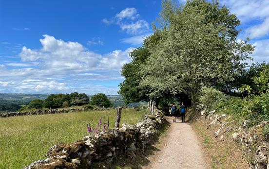 Unterwegs auf dem Camino