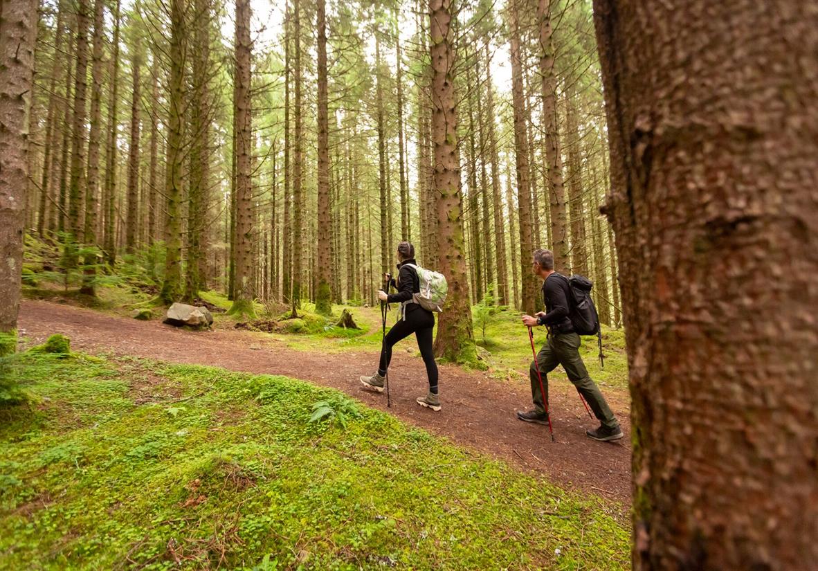 Leaving Fort Augustus on forest trails