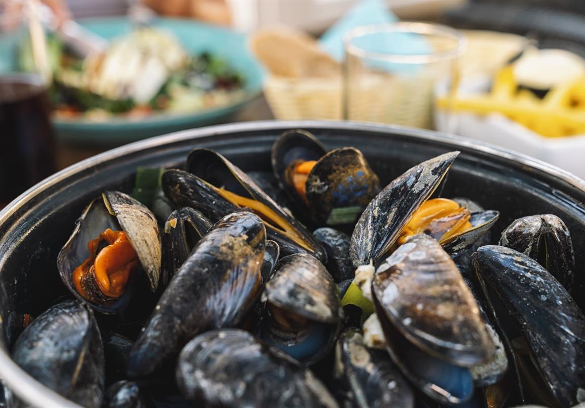 Freshly steamed mussels