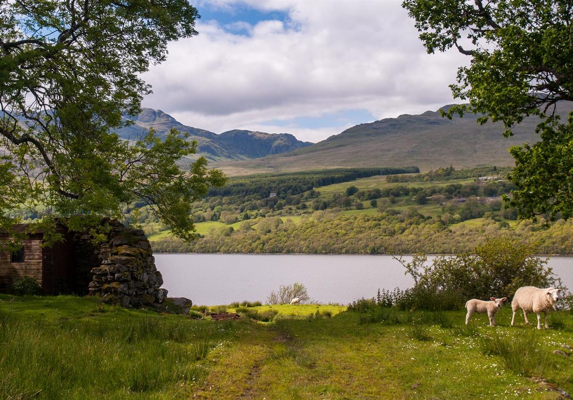 Loch Tay