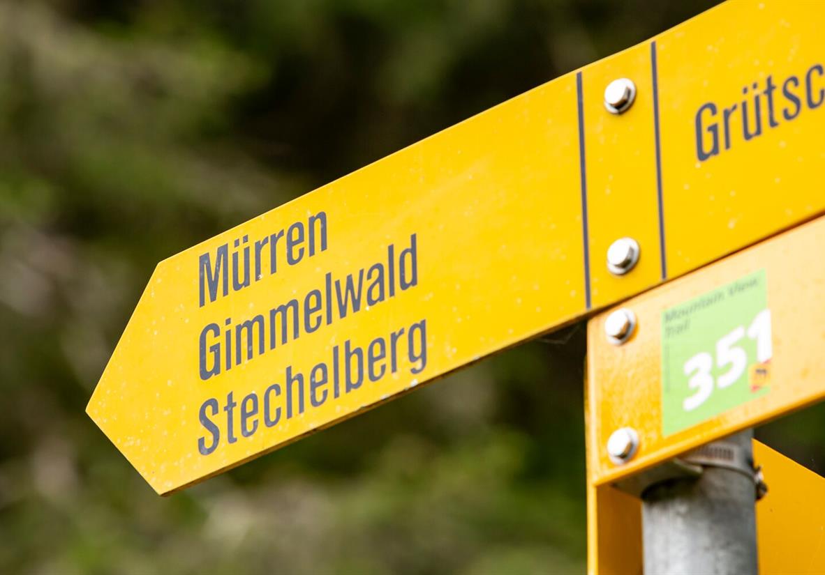 Wegweiser