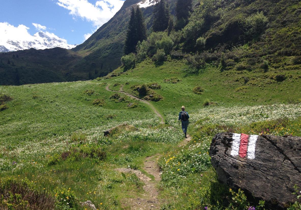 Weg oberhalb von Mürren
