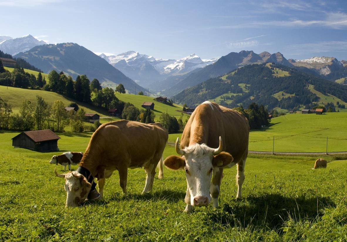 Auf der Alm