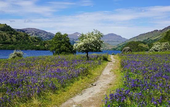 Walking the West Highland Way in spring