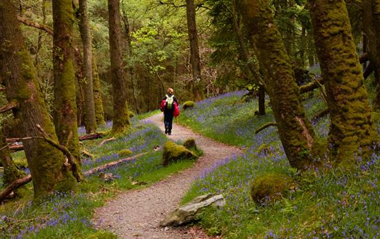 West Highland Way in Spring