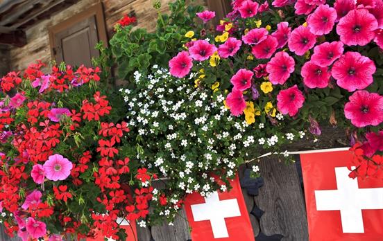 Typical Alpine chalets and flower boxes