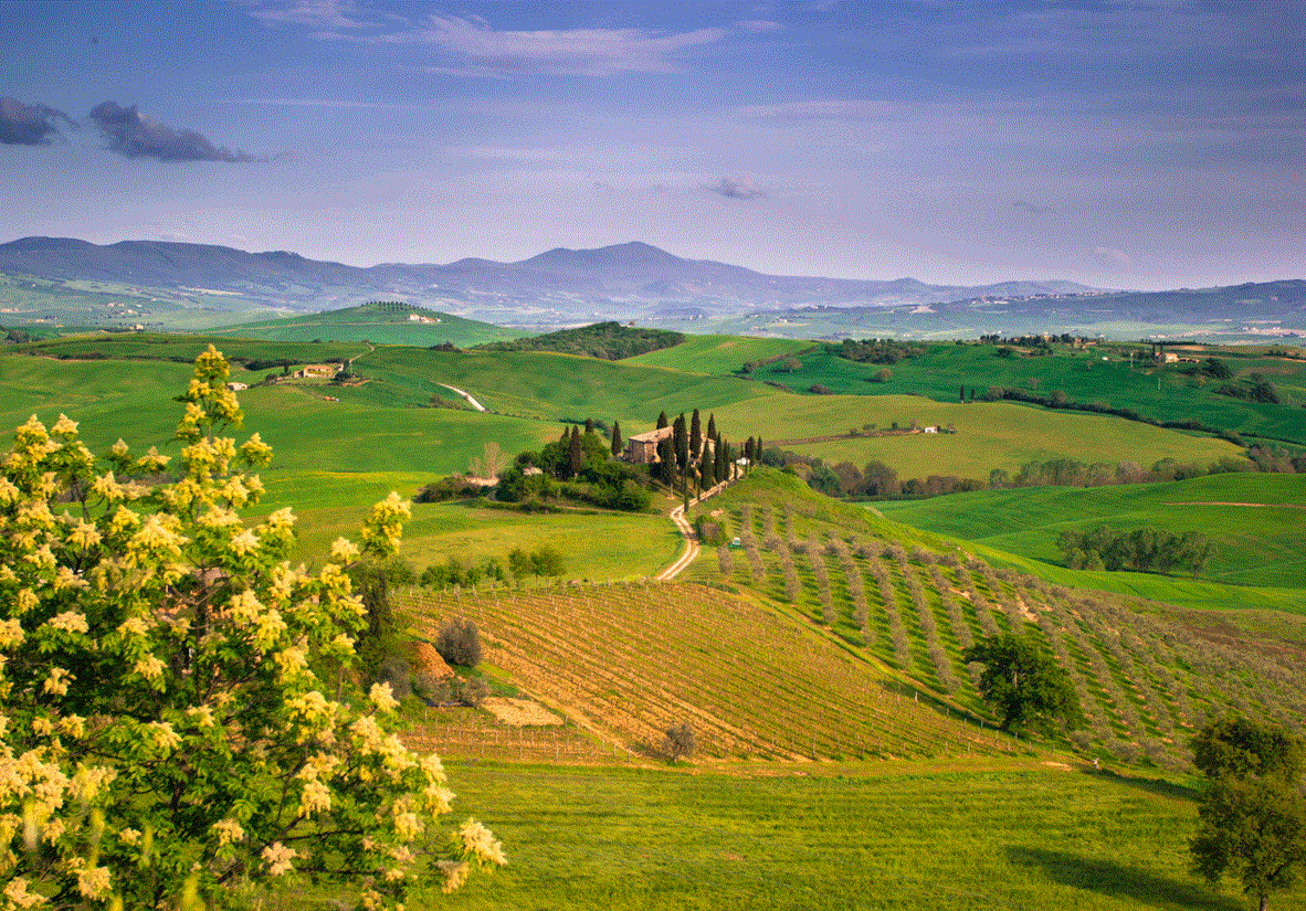 Stunning views over Chianti landscapes
