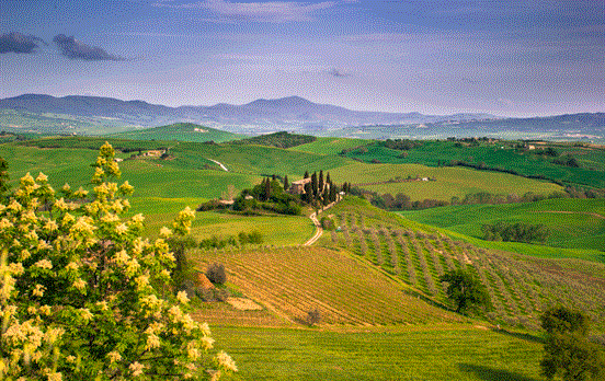 Stunning views over Chianti landscapes