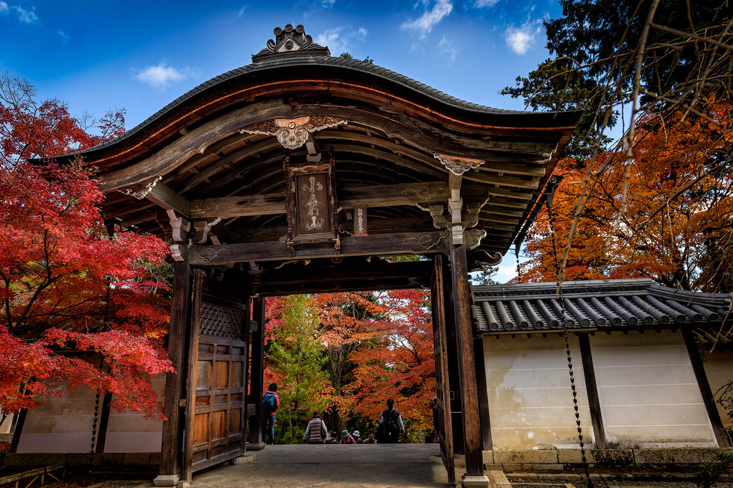 Walk Japan