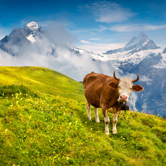 Switzerland