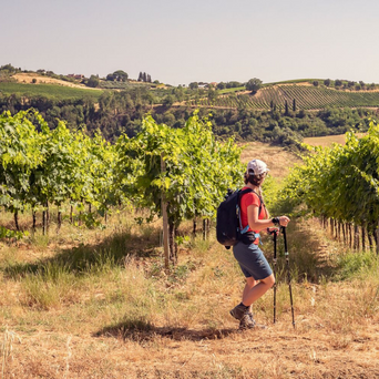 Walking in Europe